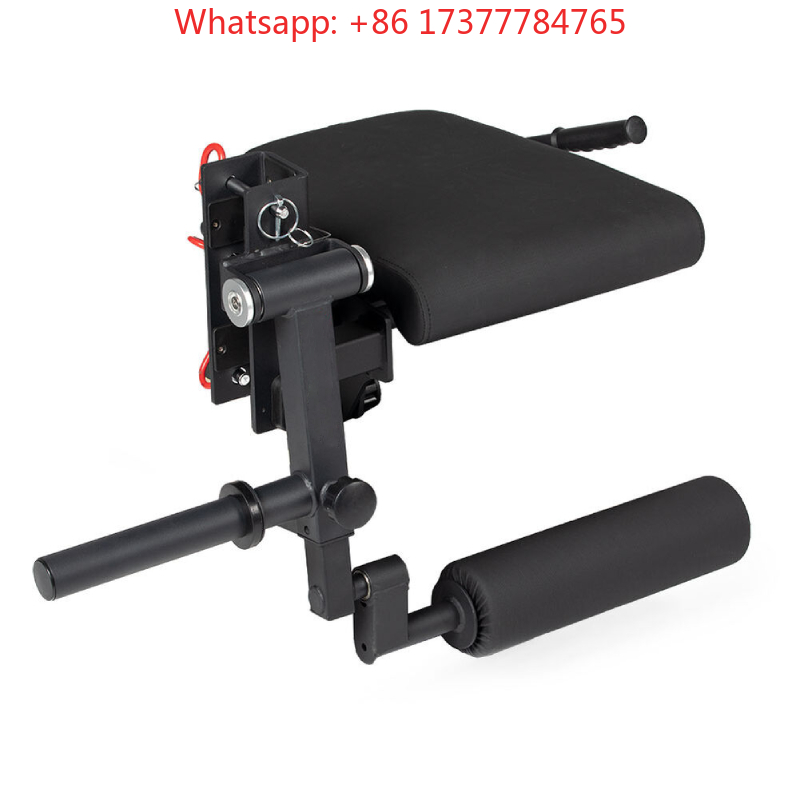 Home Gym Leg Training Machine  - Home Gym Hamstring Exercises reseña y precio
