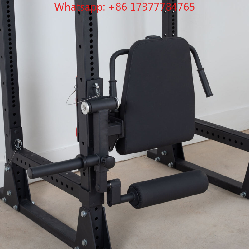 Home Gym Leg Training Machine  - Home Gym Hamstring Exercises reseña y precio