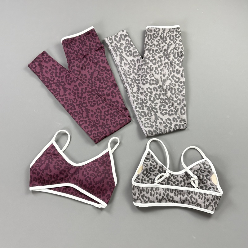 2Pcs HISTELLO Leopard Print Wo - Home Gym Leg Press reseña y precio