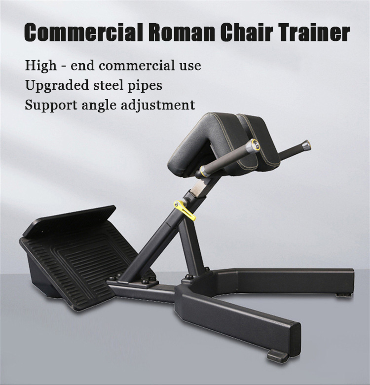 Adjustable Roman Chair Exercis - Home Gym Hamstring Exercises reseña y precio