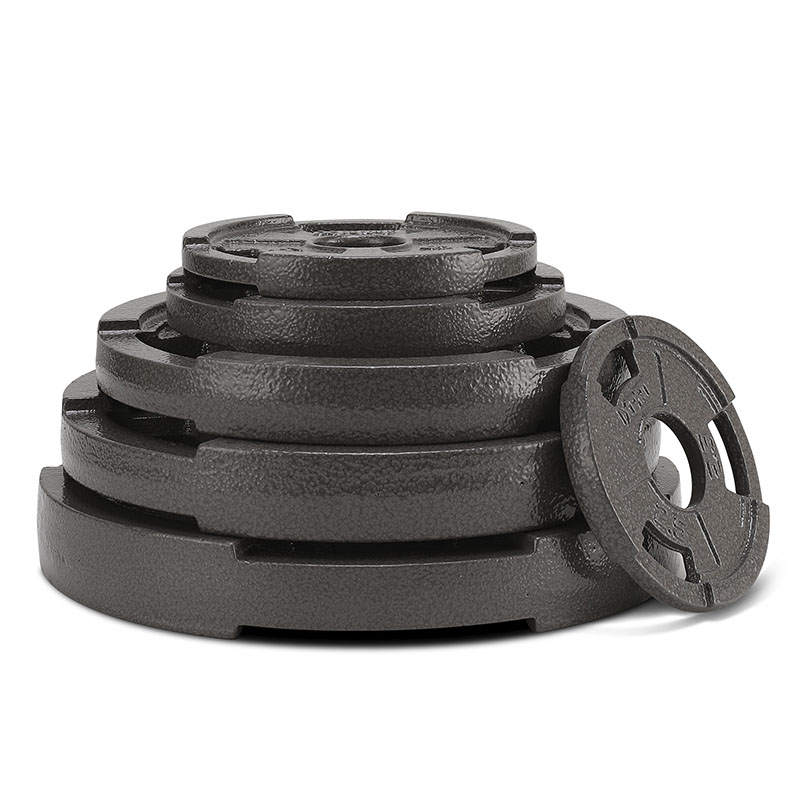 Professional 300LB Cast Iron B - Home Gym Weight reseña y precio