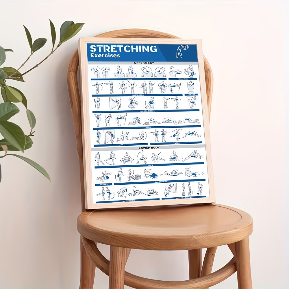 Modern Labeled Full-Body Stret - Home Gym Decor reseña y precio