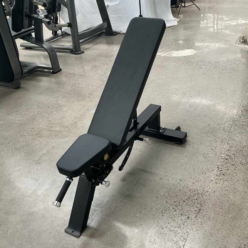 Adjustable Home Gym Dumbbell B - Home Gym Portable reseña y precio