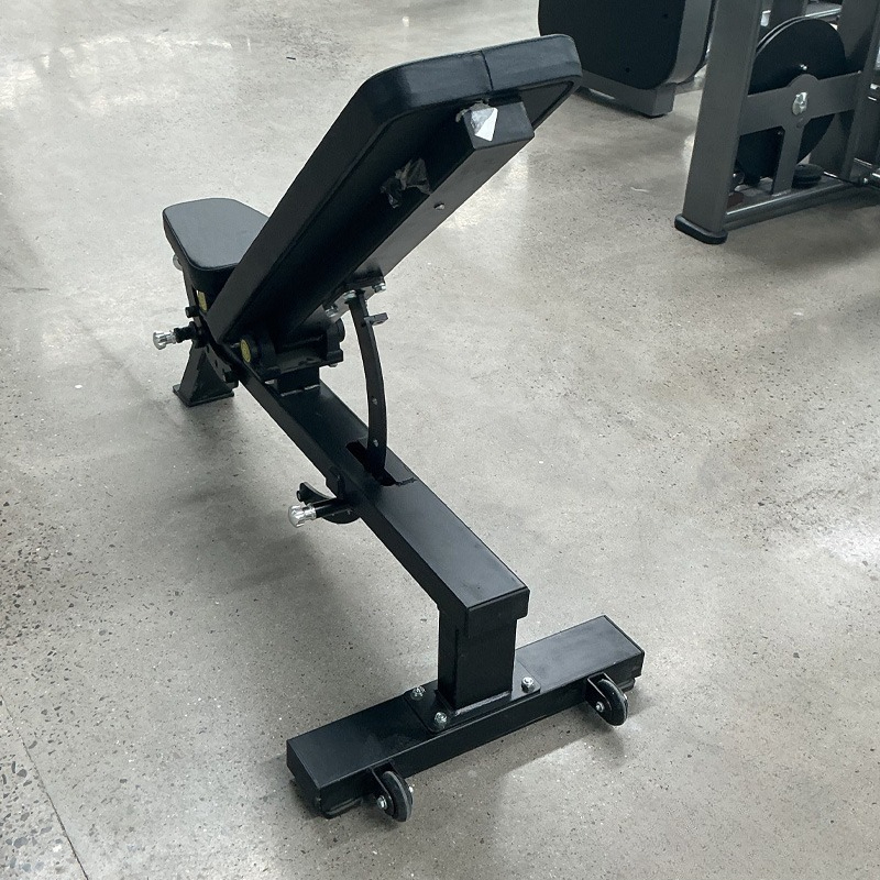 Adjustable Home Gym Dumbbell B - Home Gym Portable reseña y precio