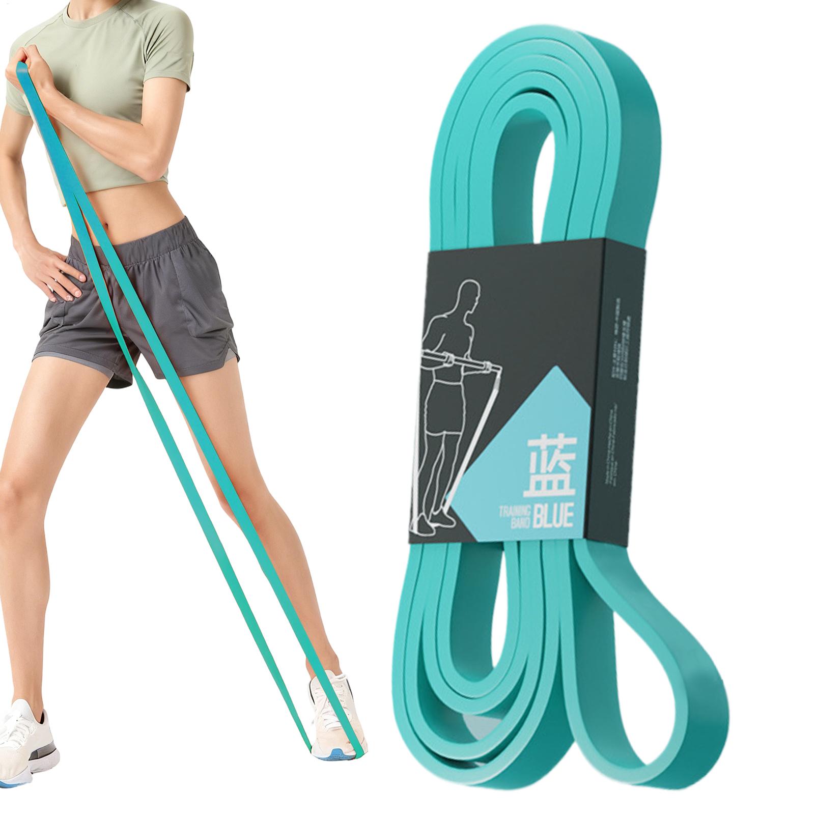 Workout Resistance Bands Elast - Home Gym Leg Press reseña y precio